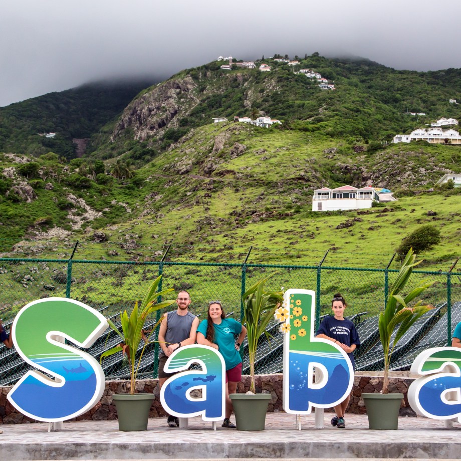 How to Choose Among Caribbean Medical Schools