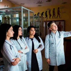 What is the difference between basic medicine and clinical medicine?