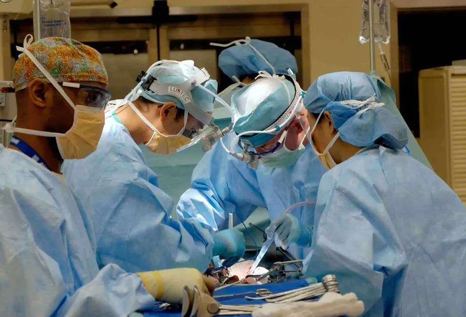 From Marine Biology In Nova Scotia to Pain Management Fellowship