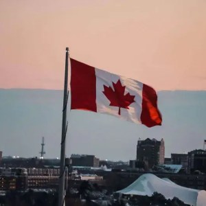 Saba—“The 18th Canadian Medical School?”