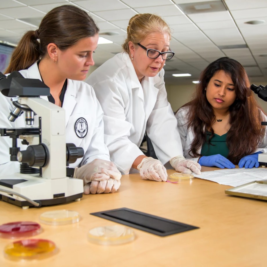 Saba Bio Lab