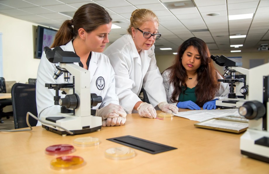 Saba Bio Lab