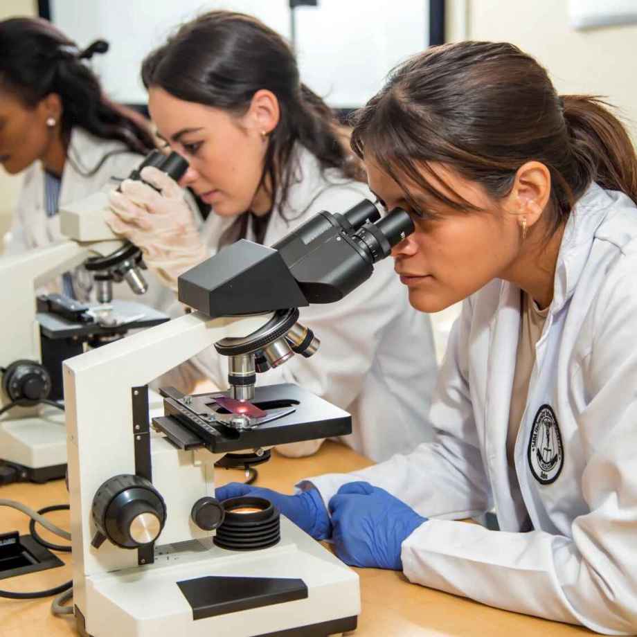 Saba Bio Lab