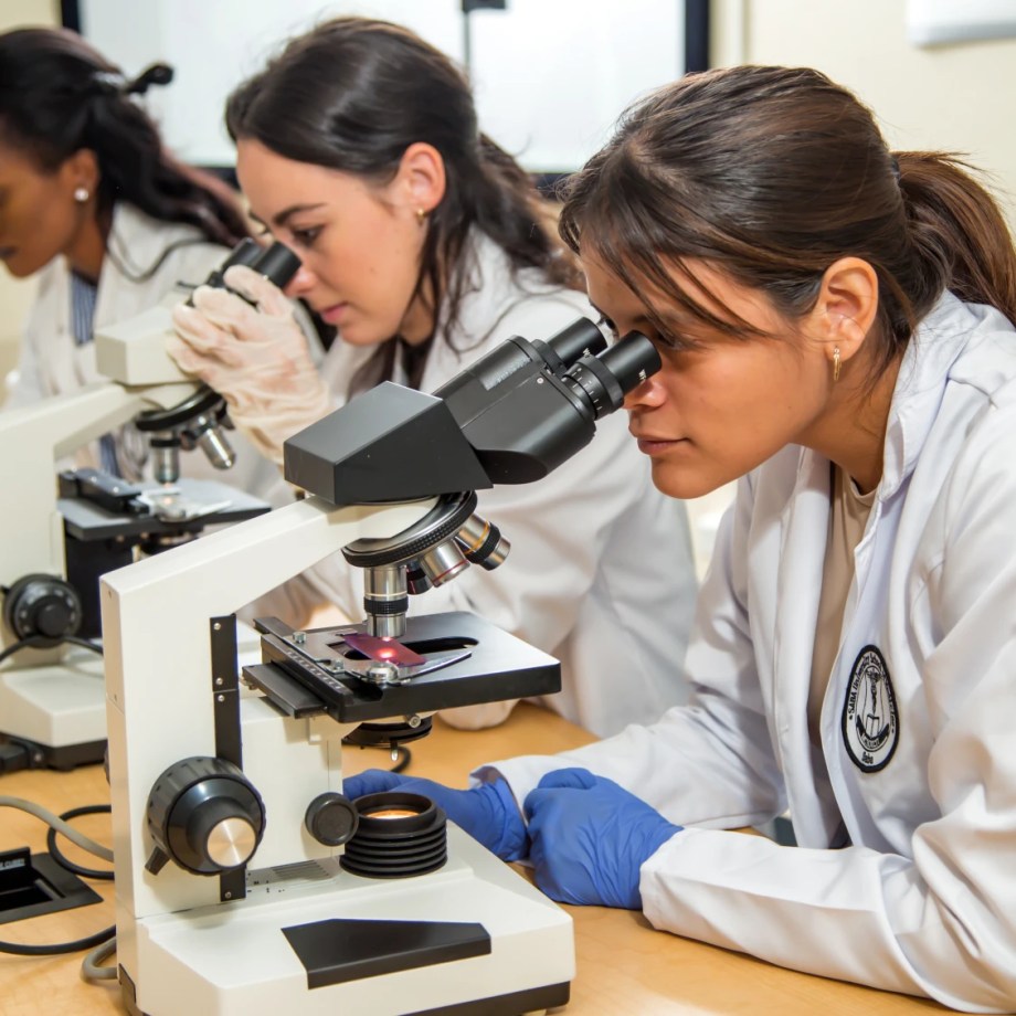 Saba Bio Lab