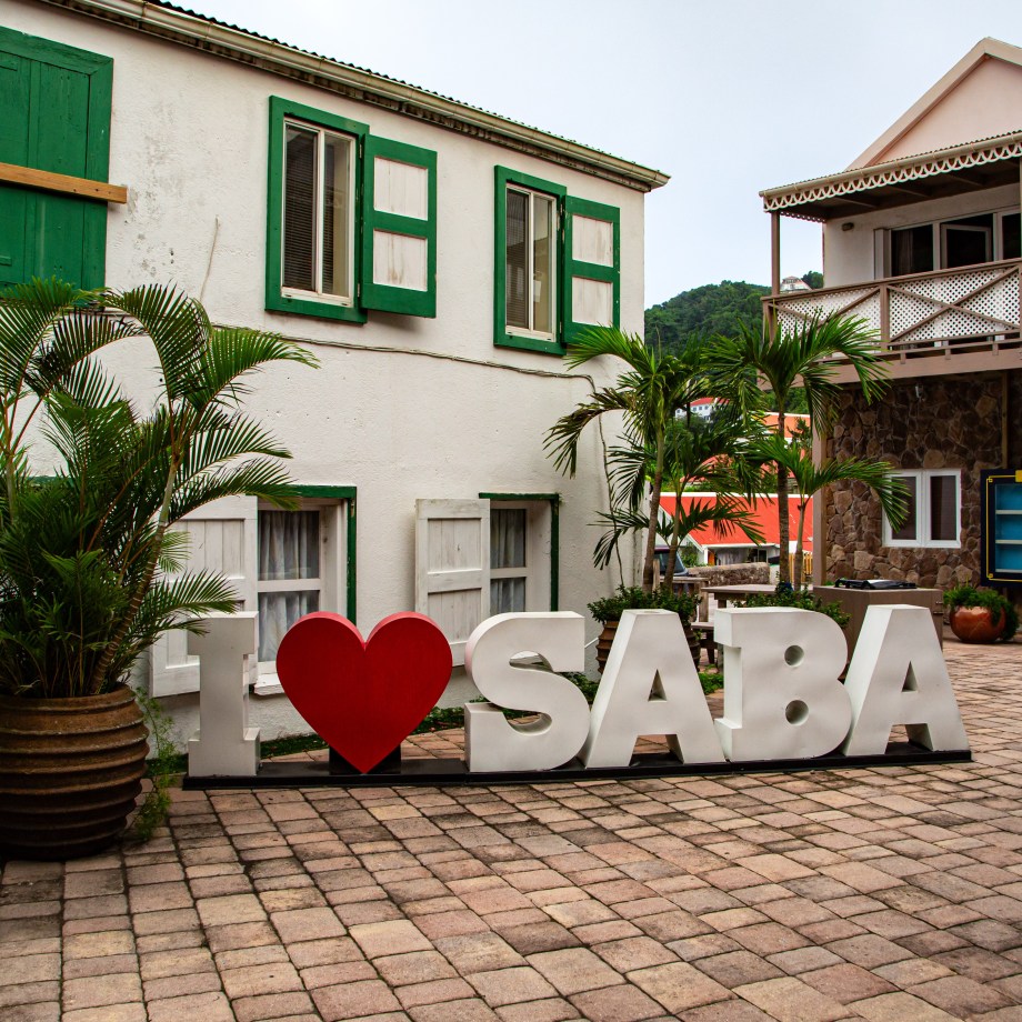 I love saba picture