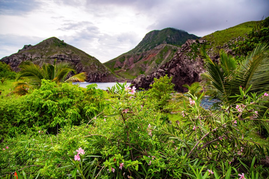 Saba Island Photos