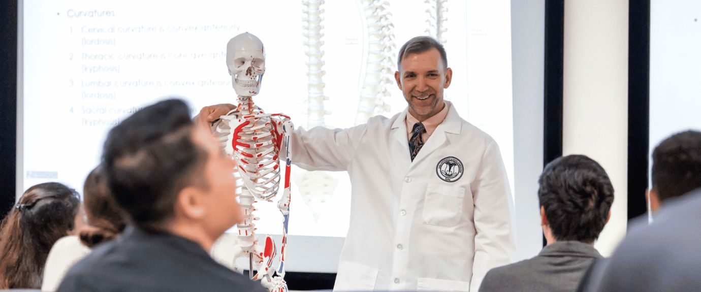 Male professor stood next to a 3D skeleton diagram