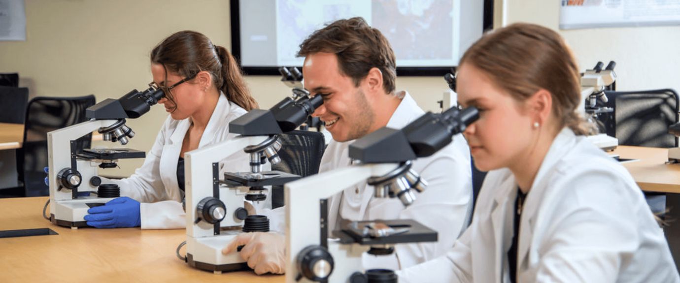 Three medical students looking through microscopes